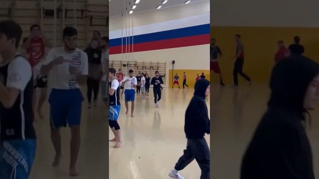 Подготовка к международному турниру по кикбоксингу. Сборная команды России #кикбоксинг #бокс #спорт смотреть онлайн