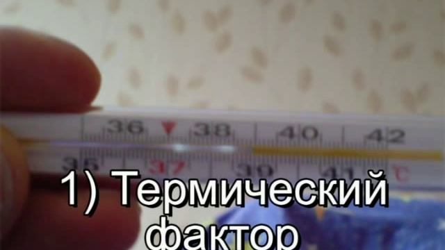 Рождение здорового ребенка Дмитрий Любченко смотреть онлайн