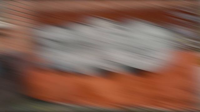 Проверяем общежитие на наличие меток и подозрительных птиц смотреть онлайн