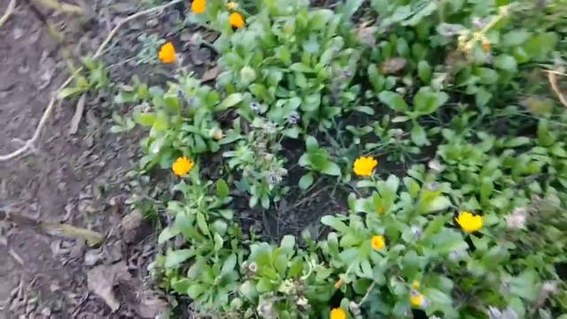 МЕНЯ ОБМАНУЛИ // В СЕЛЕ ЕСТЬ БОЛЬНЫЕ смотреть онлайн