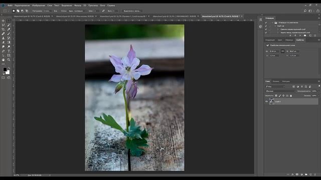 01.Garden photography. ДачаФото. Сессия 1 смотреть онлайн