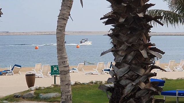 Ja Palm Tree Court Пляж смотреть онлайн