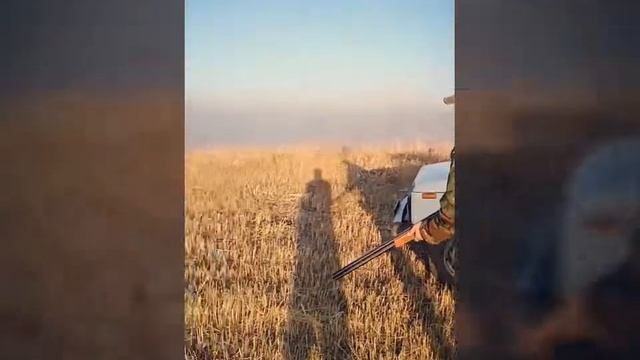 Касеев Адилет МЦ-21-12.ТОЗ -34 смотреть онлайн