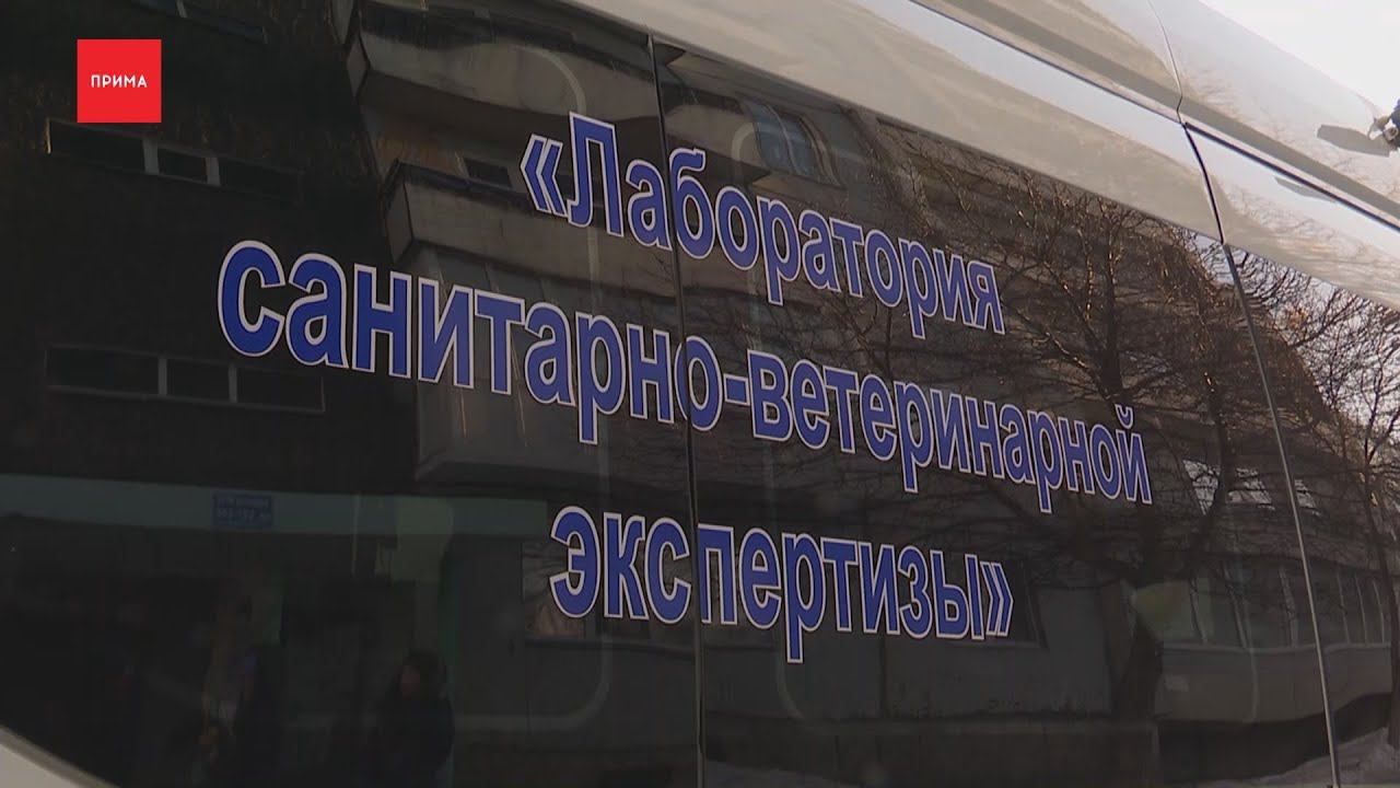 Домашняя кошка заболела бешенством в Солнечном смотреть онлайн