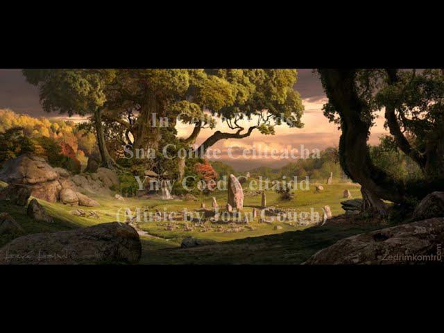In Celtic Woods