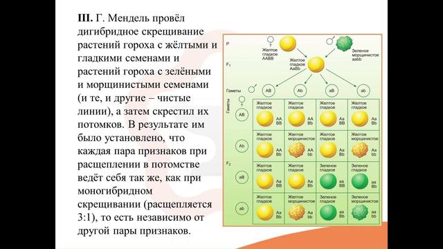 3. Основные понятия и законы генетики смотреть онлайн