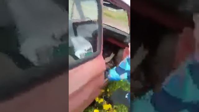 У деда в лесу нашли машину... смотреть онлайн