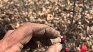 КОП С MINELAB VANQUISH 340!!! ОТКРЫЛ СЕЗОН 2022!!! #minelab #vanguish #металлоискатель #коп #находк