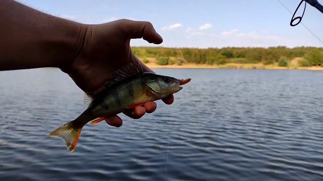 Трудни костури на дропшот мнонтаж с чичо Божидар. смотреть онлайн