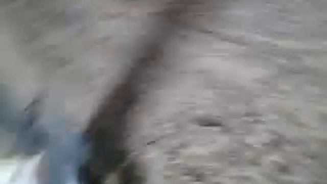 Зи заброшенный институт смотреть онлайн