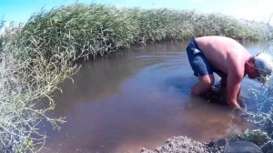 Как добыть лиманского червя. Нереис.