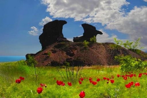 Степи и терриконы Донбасса