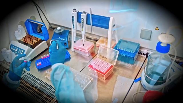 Генетика, Химера, Генні модифікації, Генномодифіковані люди, тварини- це реальність | get firs game смотреть онлайн