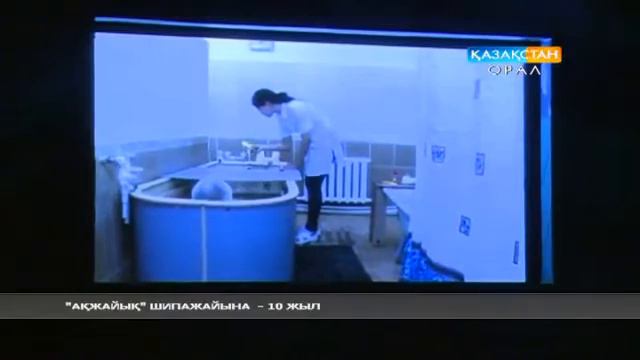 10 лет санаторию "Акжайык" каз. язык смотреть онлайн