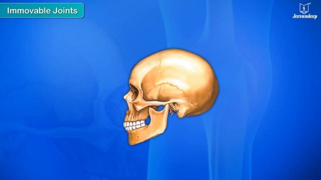 Bones and Muscles | Science For Kids | Grade 5 | Periwinkle смотреть онлайн