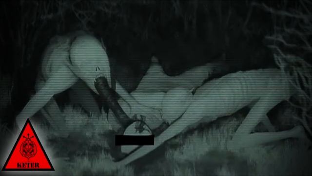 SCP-2191 - "Фабрика Дракулы" смотреть онлайн