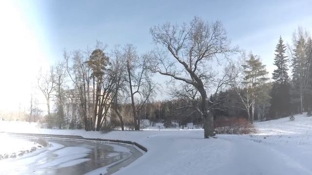 Павловск, 7 января 2015 смотреть онлайн