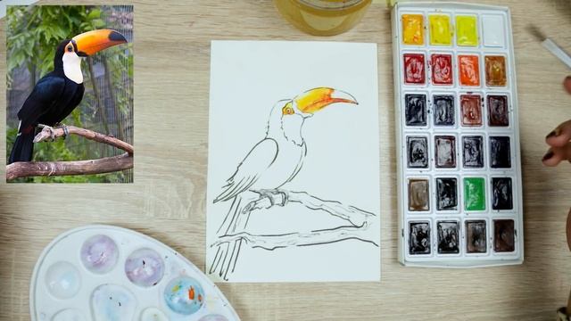 Как нарисовать тукана. Урок рисования. Скетчинг для начинающих. смотреть онлайн