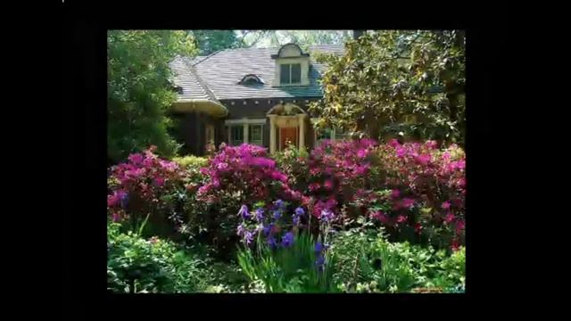 Ландшафтный дизайн. Занятие №25 смотреть онлайн