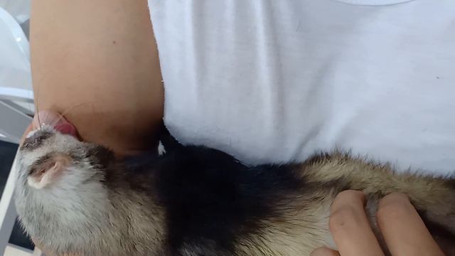 [VLOG] ПОИСК КВАРТИРЫ В НЯЧАНГЕ (14-15.08.2019) смотреть онлайн