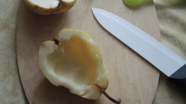 Готовим дома