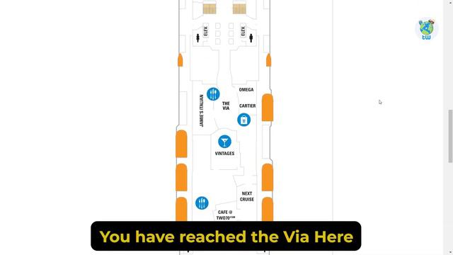 Ovation Of The Seas (Features And Overview)