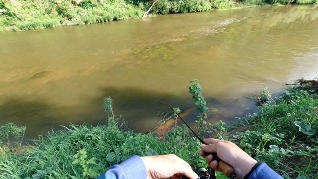 Эти воблеры просто косят голавля! Как поймать голавля летом на малой реке. [Пора ловить голавля] смотреть онлайн