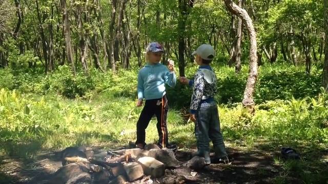 Дашин выпускной пикник.