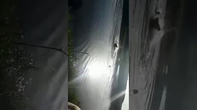 Дурак утопил лошадь. смотреть онлайн