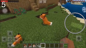 КАК ПРИРУЧИТЬ ЛИСУ В МАЙНКРАФТЕ + факты о лисе