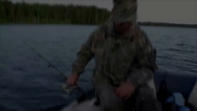 из раннего- трофейные окунь и щука - Шимозеро и другие озера Вологодчины - 2014 год смотреть онлайн