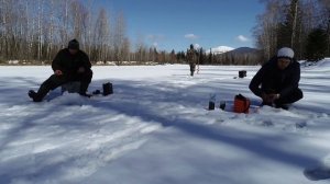 Аэролодка  Борус 650, расход топлива.