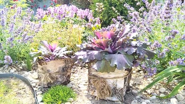 Красота в Деталях☘️ Идеи для Сада. Живой Декор? #garden #сад #декор смотреть онлайн