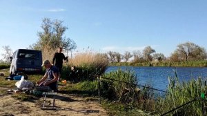 Рыбалка, Штрафы в Ачуево.Карасевич одолел в Миру Мир.