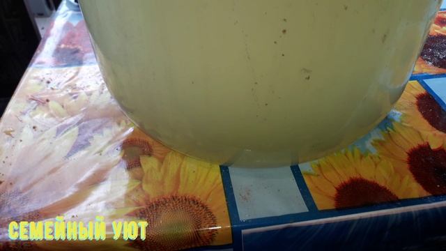 Яблочное вино без заморочек. Часть 2 смотреть онлайн