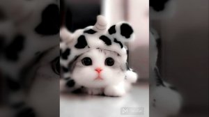 ♧Буду буду тебя зажимать (speed up)♧