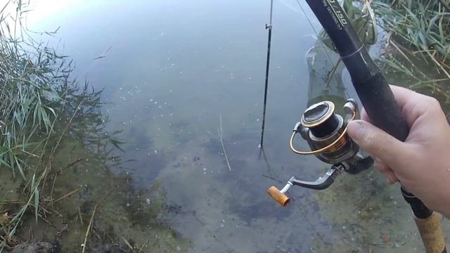 Сказ о том, как два гарных хлопца рыбку ловили, в двух частях.Часть вторая-рыбацкая! смотреть онлайн