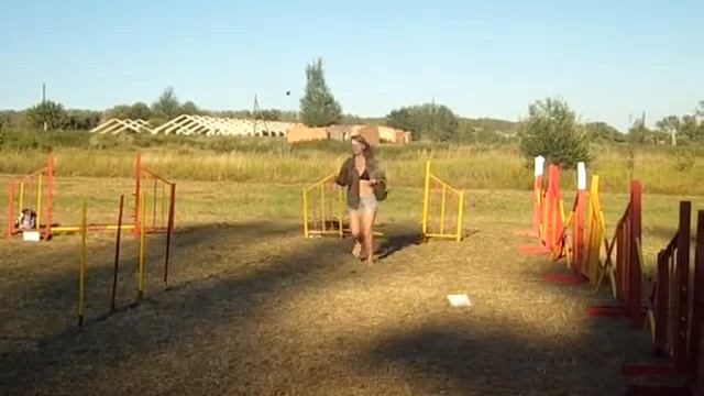 Аджилити Забег чихов! смотреть онлайн