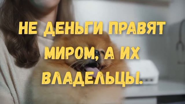 Деньги не пахнут-пахнут только большие деньги.Изумительный аромат!!! смотреть онлайн