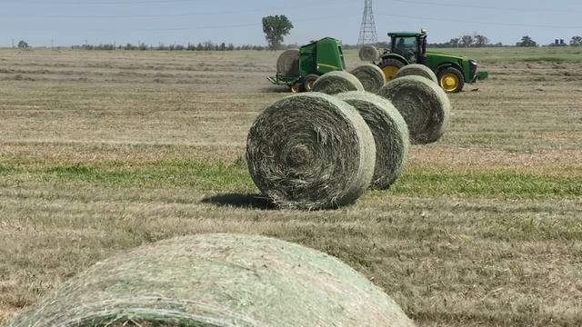 Bale it up, Bring it Home смотреть онлайн