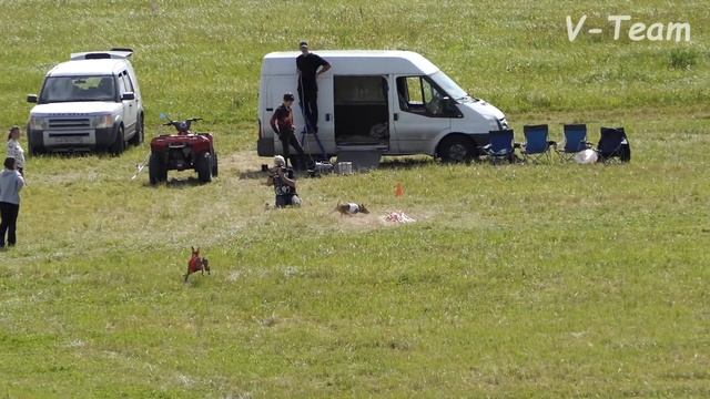 Чирнеко дель Этна. SOLLUCERO (К) - COLISTO'S BIRBO (Б). ЧРКФ CACL, Суханово 2019 смотреть онлайн