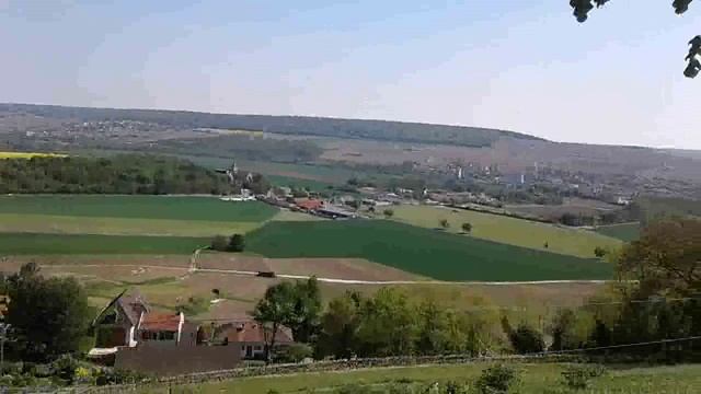 Женский человек