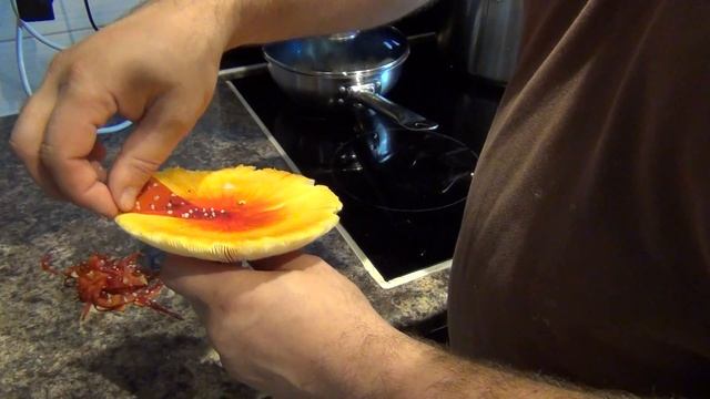 Fly Agaric Amanita Muscaria With Hallucinogenic Properties Preparation