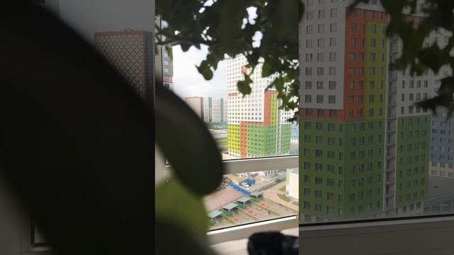 ЖК Парнас онлайн 8.10.2022 смотреть онлайн