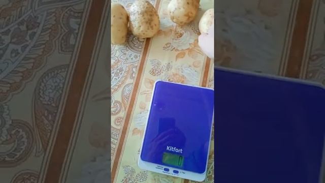 Взвесил картофель Импала смотреть онлайн
