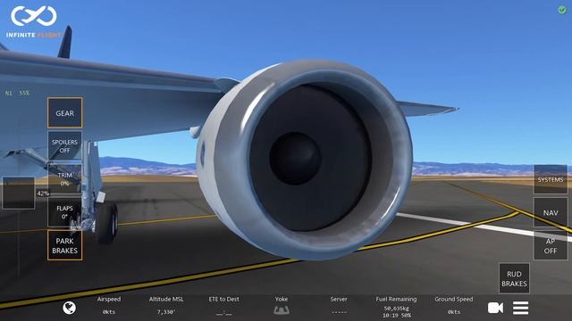 ¿Which B787-8 Is Better? | Infinite Flight Simulator Vs Real Flight Simulator