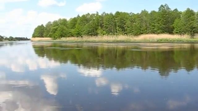 Река Припять. Беларусь. Природа. Полесье. Рыбалка. Май. смотреть онлайн