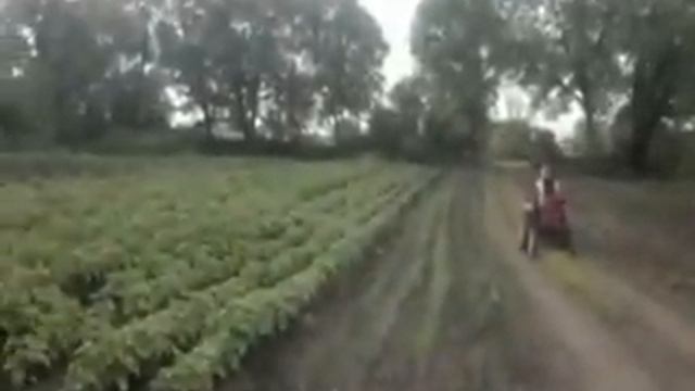 Обладатель трактора видео смотреть смотреть онлайн