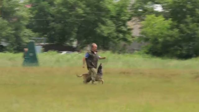 Богданов Сергей/ А'Бобик ИПО 3, раздел В