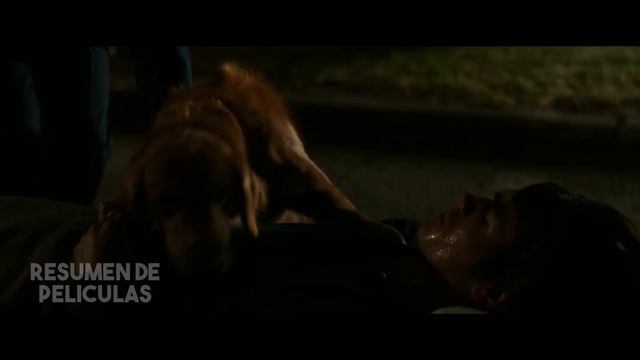 Luego De 37 Años, Este Perrito Se Reencuentra Con Su Dueño Nuevamente ( Resumen de Peliculas) смотреть онлайн